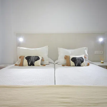 The Secret Of Elephant By Homestaygrancanaria Apartment