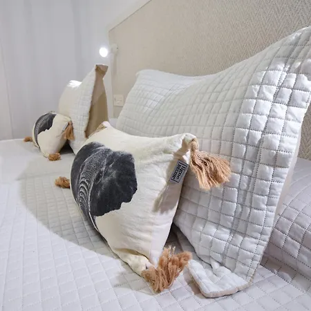 The Secret Of Elephant By Homestaygrancanaria * San Bartolome de Tirajana (Gran Canaria)