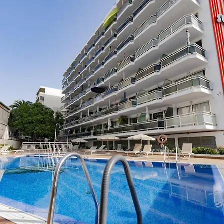 Apartment The Secret Of Elephant By Homestaygrancanaria